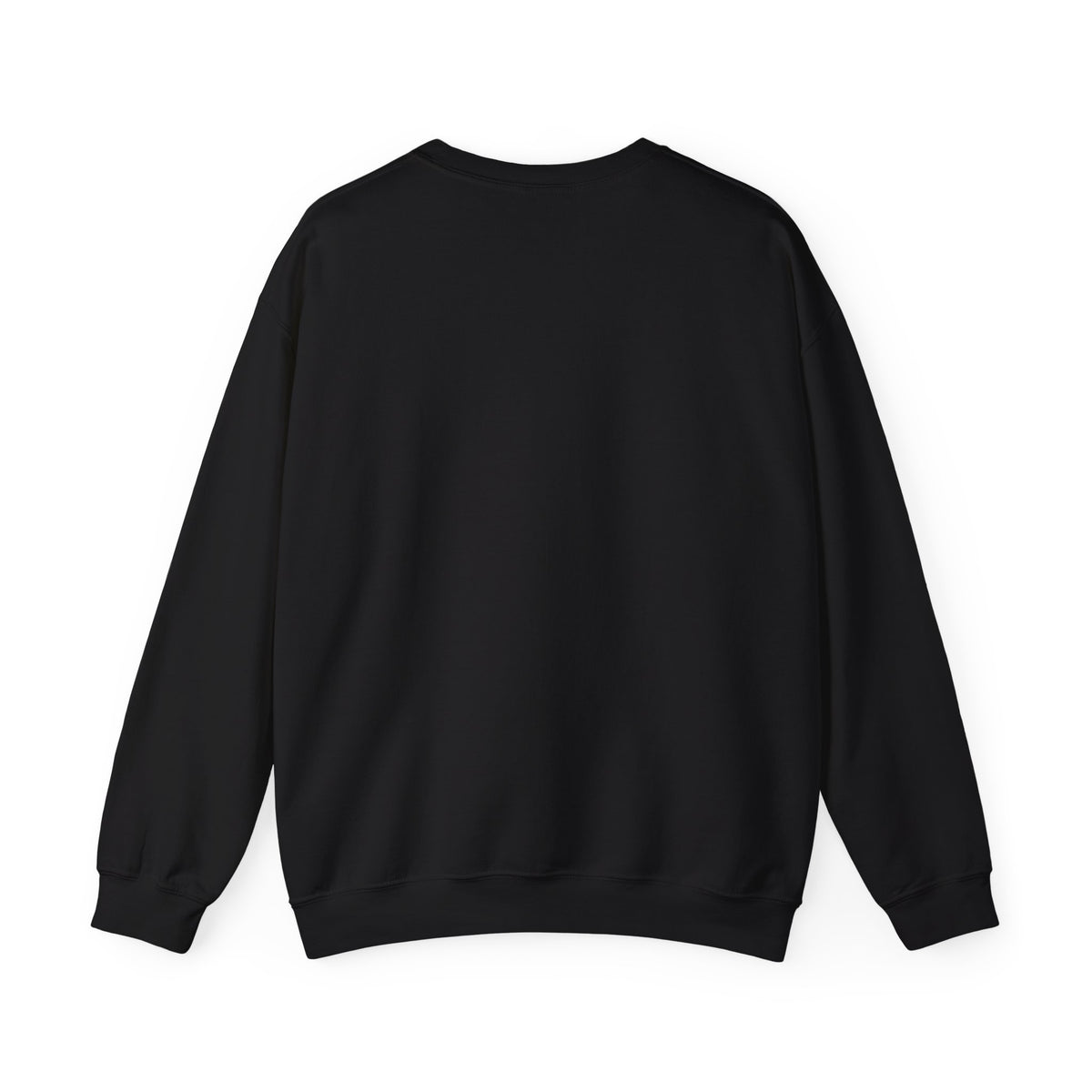 Black personalized Northern Lights Family Christmas sweatshirt, back view