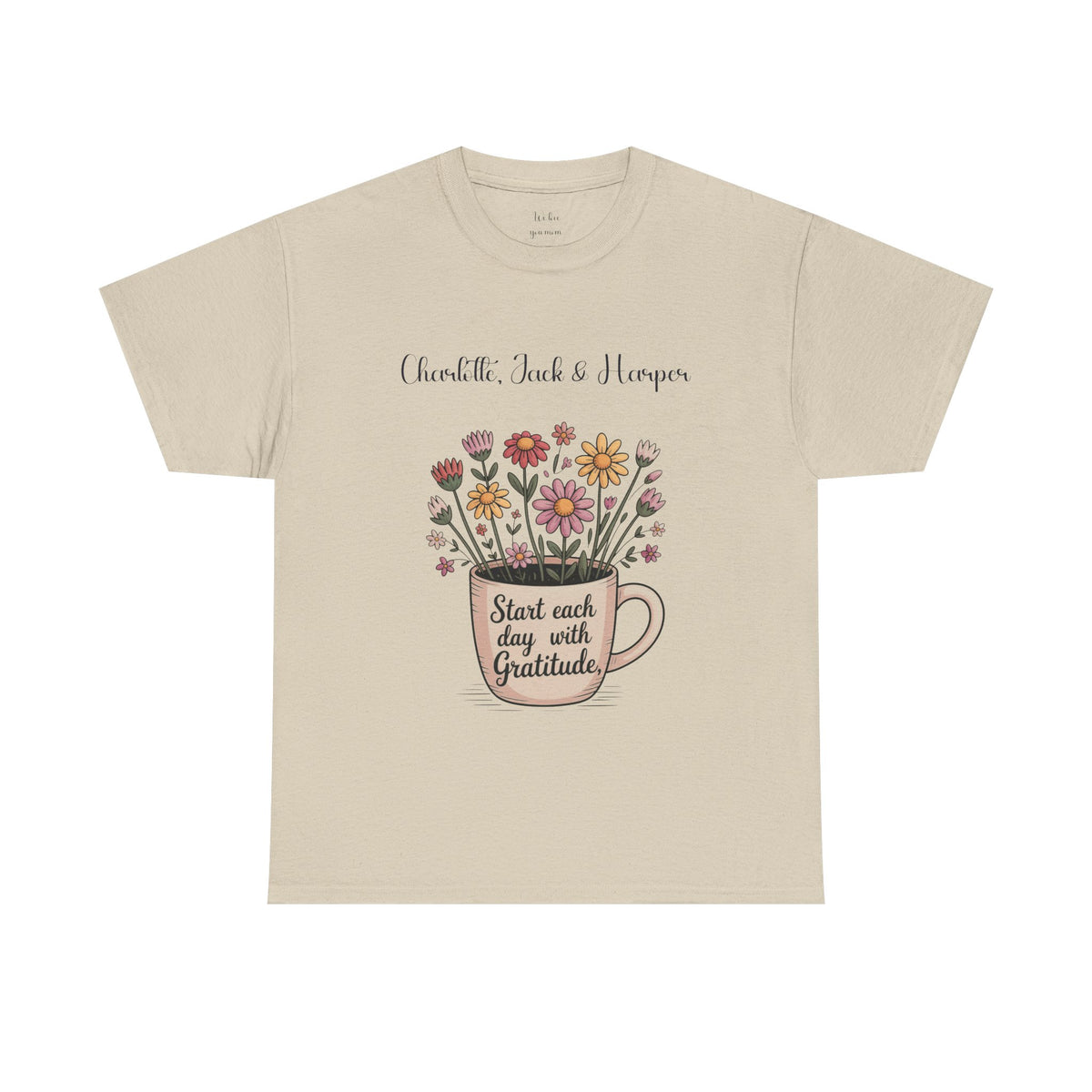 Gratitude t-shirt, alternate view
